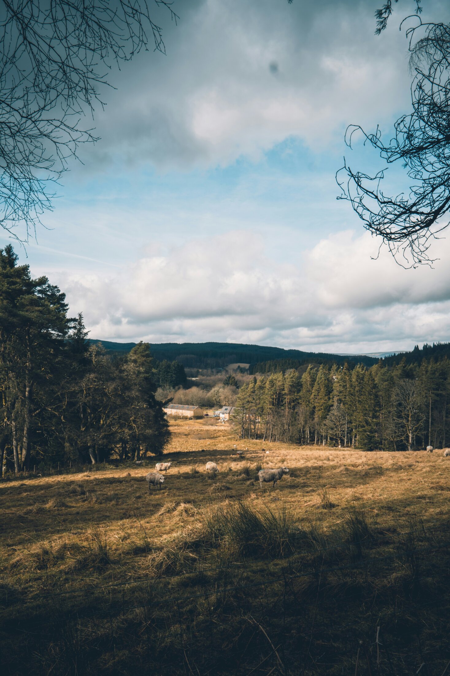 Kielder Water and Forest Park