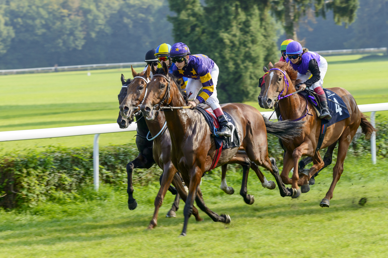 Hexham Race Course