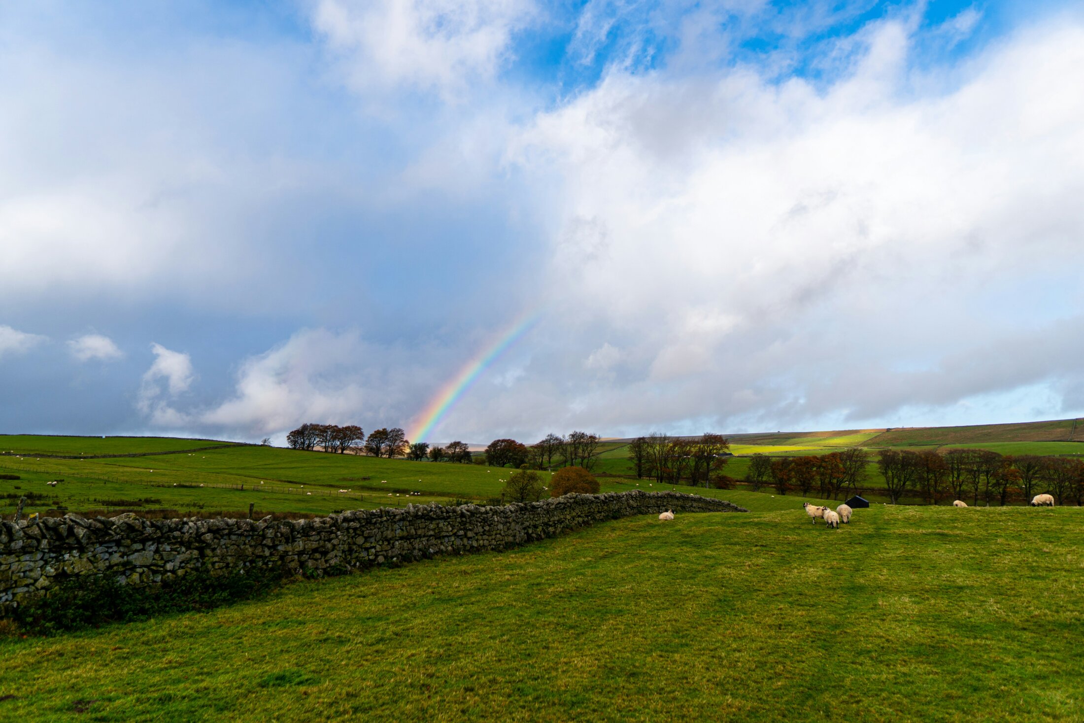 North Pennines